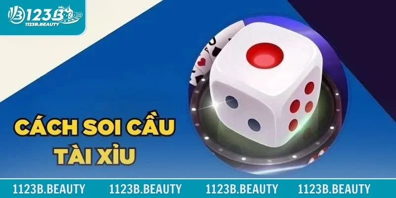 Cầu dây đặc biệt với lợi thế khủng 